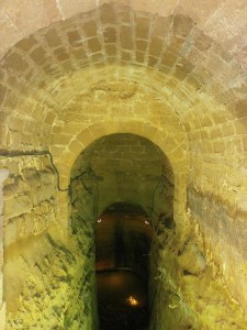 Laluenga. Interior Pozo Fuente - Pozo Alto. Detalle de la bóveda. Al fondo la lámina de agua.