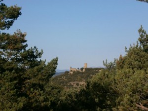 Castillo de Fantova 