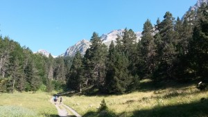 Camino de subida al refugio de montaña. Valle de Estós