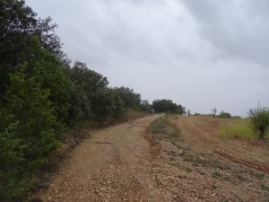 Camino de Ponzano