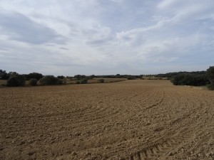 Ponzano. Llanos de San Román