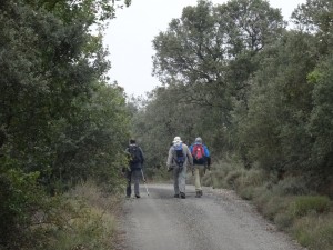 Camino de Sagarras Altas 