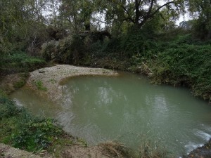 Cauce del río Isuela