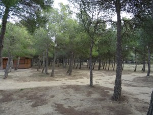 Parque de Aventura La Gabarda