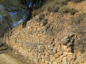 Yacimiento de Labitolosa. Muros de piedra en fincas
