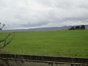 Camino de Alcolea de Cinca. Campos de cultivo