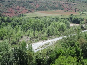 Arén. Río Noguera-Ribagorzana