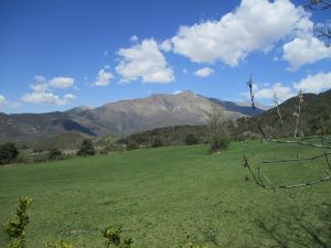 Valle de Castanesa. Verdes prados 