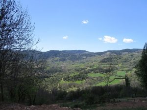 Valle de Castanesa. Exuberante vegetación