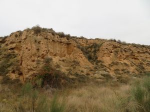 Excavados barrancos, camino de El Almerge